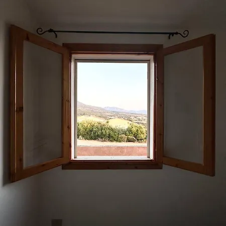 Sunset View